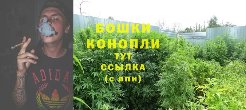 Бошки марихуана Ganja  MEGA как зайти  Верея  где можно купить наркотик 